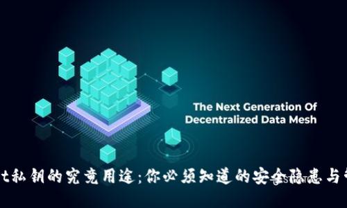 TPWallet私钥的究竟用途：你必须知道的安全隐患与管理秘籍