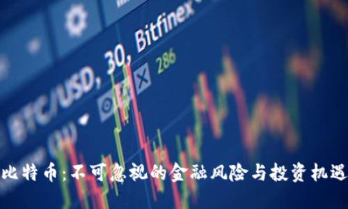 比特币：不可忽视的金融风险与投资机遇