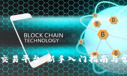 中国虚拟币交易平台：新手入门指南与常见问题解答