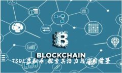 TSDL虚拟币：探索其潜力与