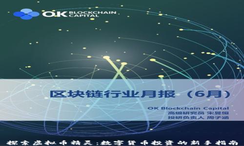 
探索虚拟币精灵：数字货币投资的新手指南