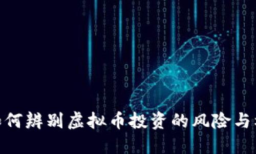 : 如何辨别虚拟币投资的风险与机会