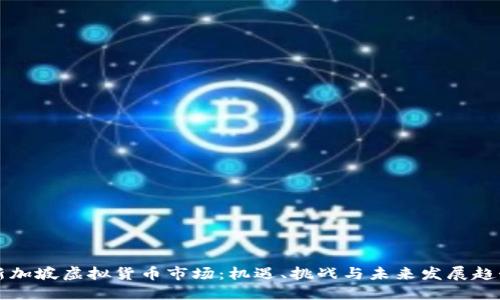 新加坡虚拟货币市场：机遇、挑战与未来发展趋势