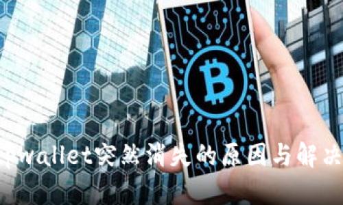 boytpwallet突然消失的原因与解决方案