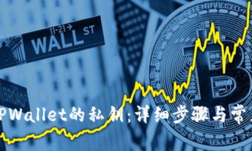 如何找回TPWallet的私钥：详细步骤与常见问题解答