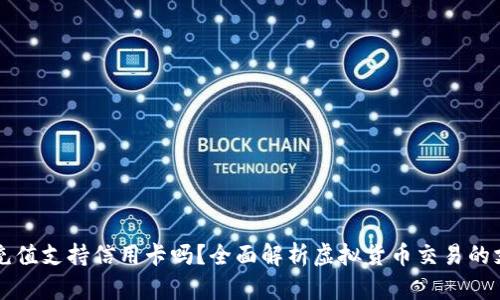 虚拟币充值支持信用卡吗？全面解析虚拟货币交易的支付方式