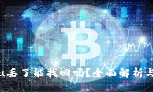 tpwalletu丢了能找回吗？全面解析与解决方案