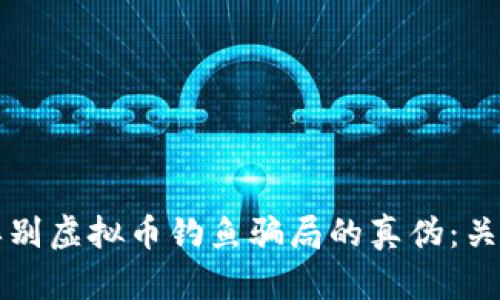 如何辨别虚拟币钓鱼骗局的真伪：关键指南