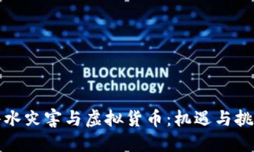 洪水灾害与虚拟货币：机遇与挑战
