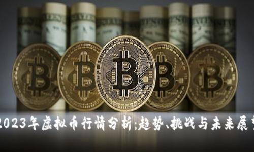 2023年虚拟币行情分析：趋势、挑战与未来展望