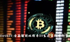 : TPWalletBSV：全面解析比特