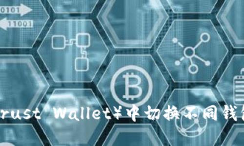 如何在TP（Trust Wallet）中切换不同钱包：全面指南