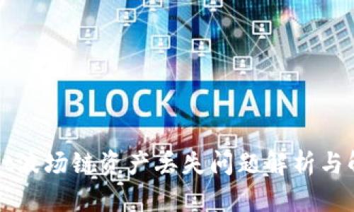 TPWallet波场链资产丢失问题解析与解决方案