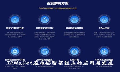 TPWallet在币安智能链上的应用与发展