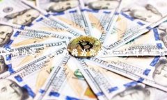 由于篇幅限制，我无法一