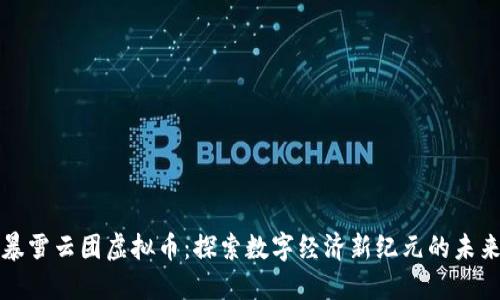 暴雪云团虚拟币：探索数字经济新纪元的未来