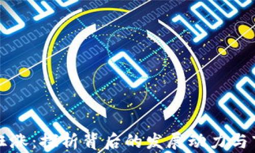 
虚拟币狂涨：探析背后的发展动力与市场趋势