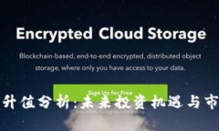 VF币的升值分析：未来投资