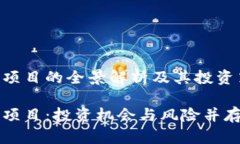 虚拟币理财项目的全景解