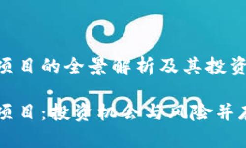 虚拟币理财项目的全景解析及其投资策略

虚拟币理财项目：投资机会与风险并存的全景分析