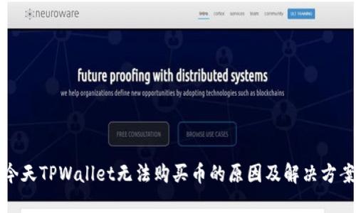 今天TPWallet无法购买币的原因及解决方案