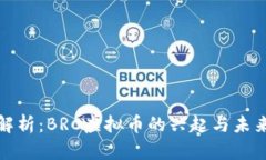 全面解析：BRC虚拟币的兴