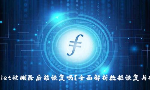 TPWallet被删除后能恢复吗？全面解析数据恢复与安全性