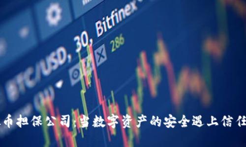 虚拟币担保公司：当数字资产的安全遇上信任保障