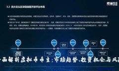 全面解析虚拟币币主：市