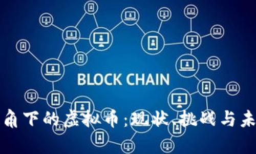 法律视角下的虚拟币：现状、挑战与未来趋势