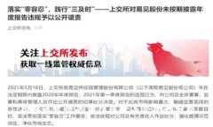 虚拟币发行的法律风险与合规性分析