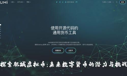 探索肥城虚拟币：未来数字货币的潜力与挑战