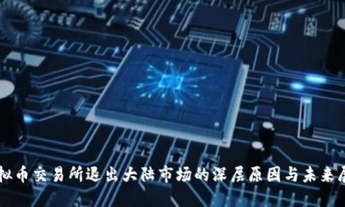 虚拟币交易所退出大陆市场的深层原因与未来展望