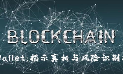 TPWallet：揭示真相与风险识别指南