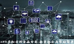 HLB虚拟币的全面分析：投