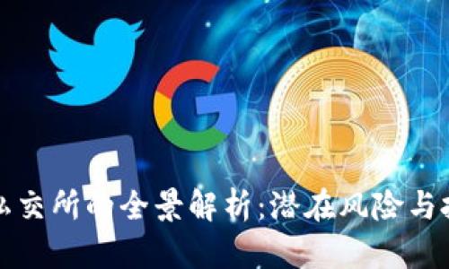虚拟币私交所的全景解析：潜在风险与投资机遇