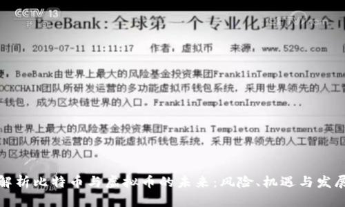 全面解析比特币与虚拟币的未来：风险、机遇与发展趋势