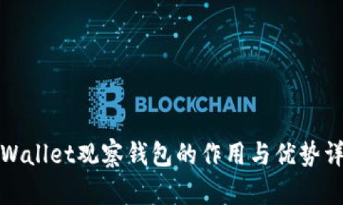 TPWallet观察钱包的作用与优势详解