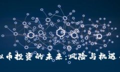 虚拟币投资的未来：风险