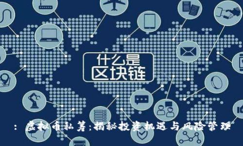 : 虚拟币私筹：揭秘投资机遇与风险管理