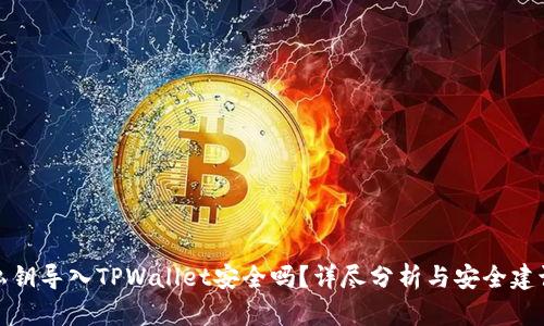 私钥导入TPWallet安全吗？详尽分析与安全建议