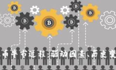 深入探讨虚拟币牛市过程