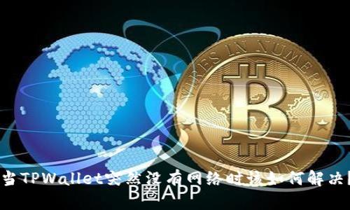 当TPWallet突然没有网络时该如何解决？
