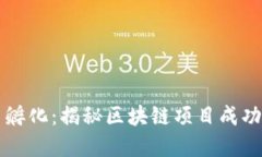 虚拟币孵化：揭秘区块链