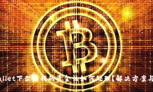 TPWallet下架后我的资金该如何处理？解决方案与建议