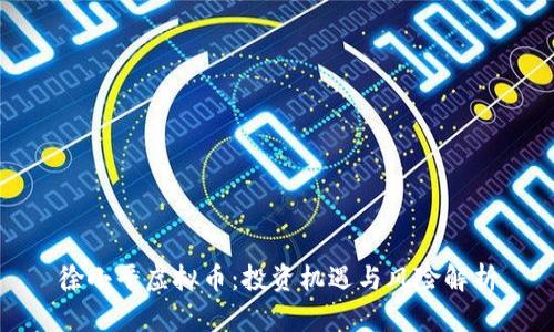徐小平虚拟币：投资机遇与风险解析