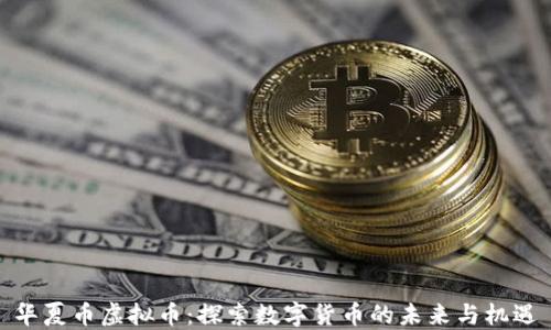
华夏币虚拟币：探索数字货币的未来与机遇
