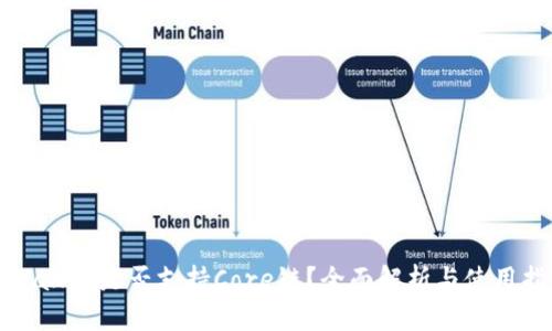 TPWallet是否支持Core链？全面解析与使用指南