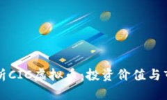 深度解析CIC虚拟币：投资