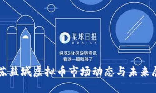江苏盐城虚拟币市场动态与未来展望